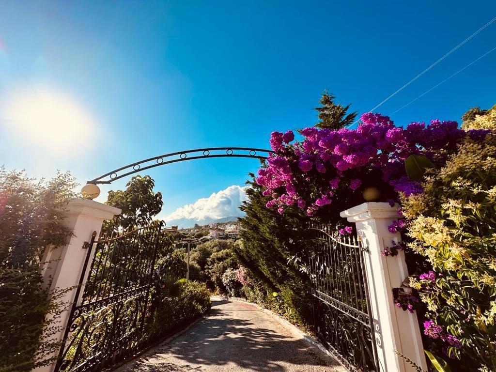 Hotel Imperial Dhërmi Dış mekan fotoğraf